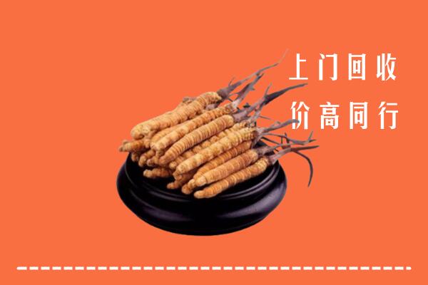 高价求购：大关县回收散虫草