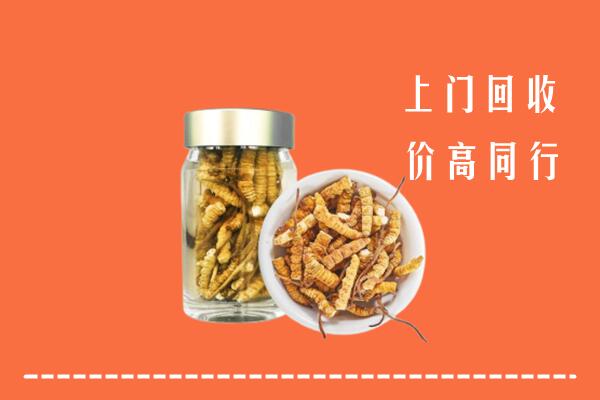 收购行情：大关县回收冬虫夏草