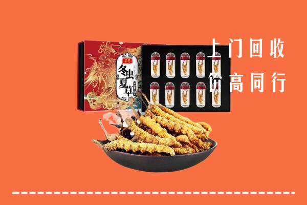 大关县回收虫草
